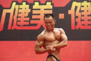 金城健美爆料最新消息,最新健身行业动态揭秘！